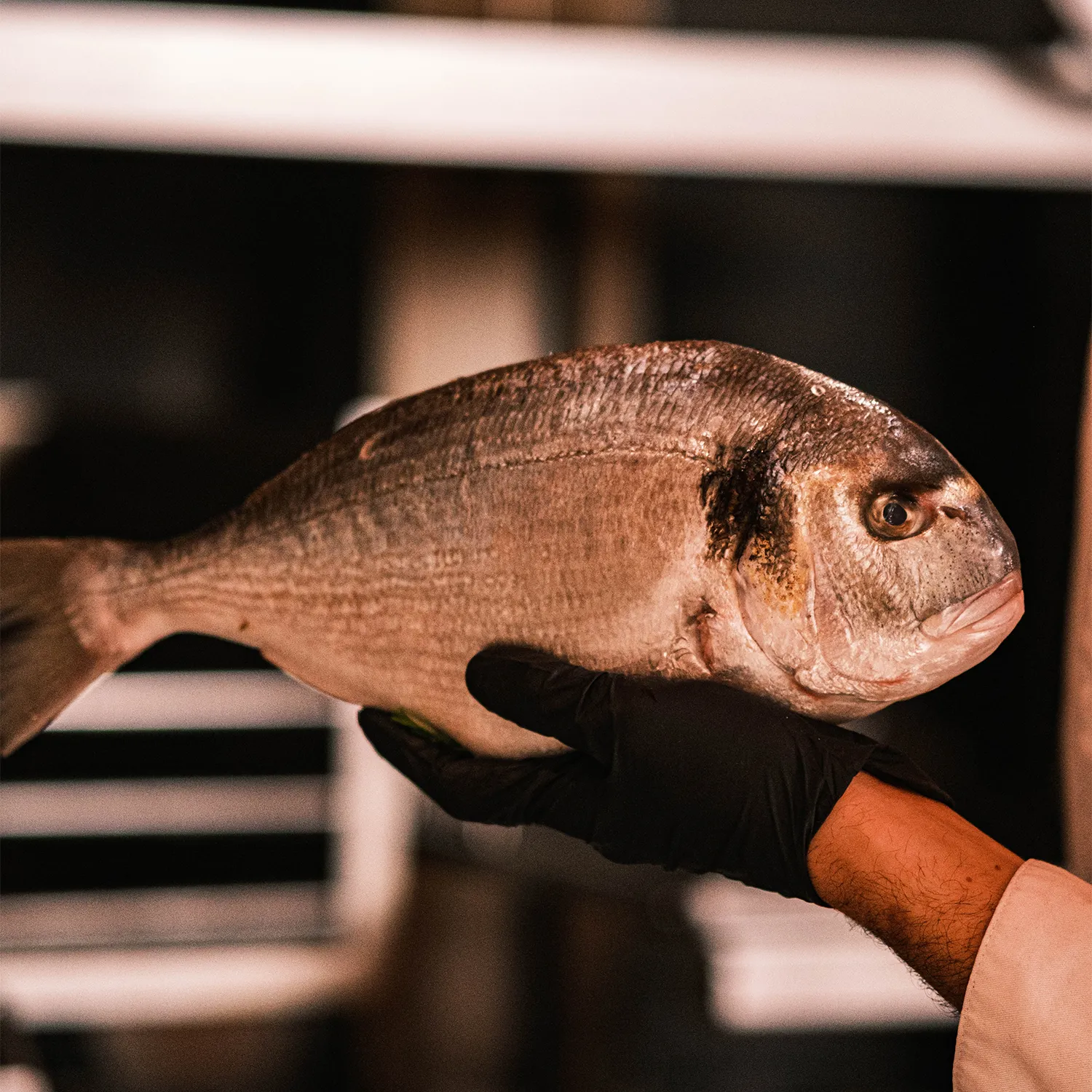 clone-lets-up-agence-communication-restaurant-lyon-15